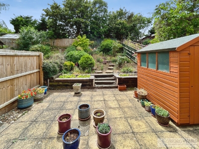 Picture 6
